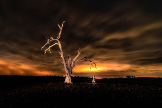 �1757929 �������(a): ����������:4096x2731